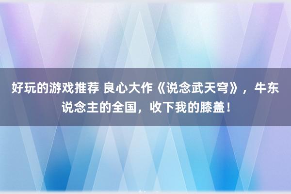 好玩的游戏推荐 良心大作《说念武天穹》，牛东说念主的全国，收下我的膝盖！