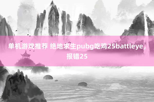 单机游戏推荐 绝地求生pubg吃鸡25battleye，报错25