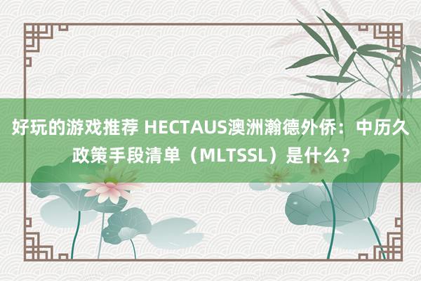 好玩的游戏推荐 HECTAUS澳洲瀚德外侨：中历久政策手段清单（MLTSSL）是什么？